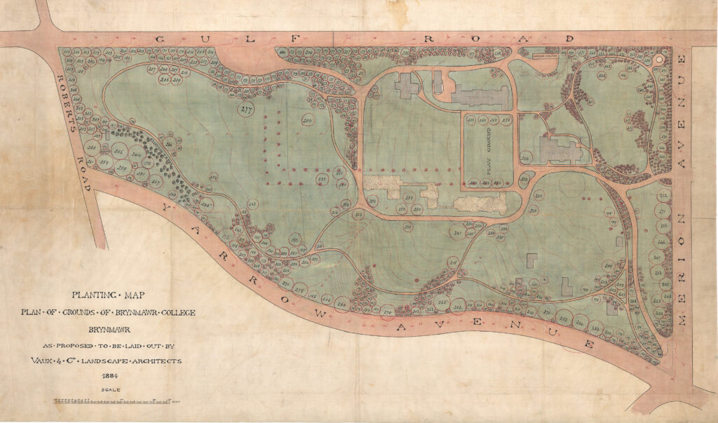 An 1884 map of Bryn Mawr College depicting plans for plants like shrubbery and trees. 